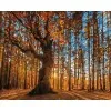 Летен рай - Рисуване по номера - 50/40СМ. - Супер цена