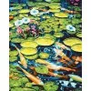 Водните грации - Рисуване по номера - 50/40СМ. - Супер цена Водните грации - Рисуване по номера - 50/40СМ. - Супер цена
