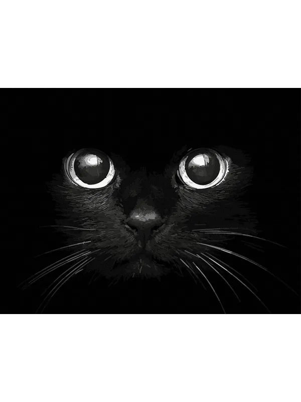 Черна котка - Рисуване по номера - 50/40СМ.