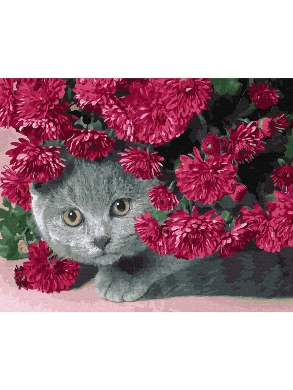 Срамежливо коте - Рисуване по номера - 50/40СМ.